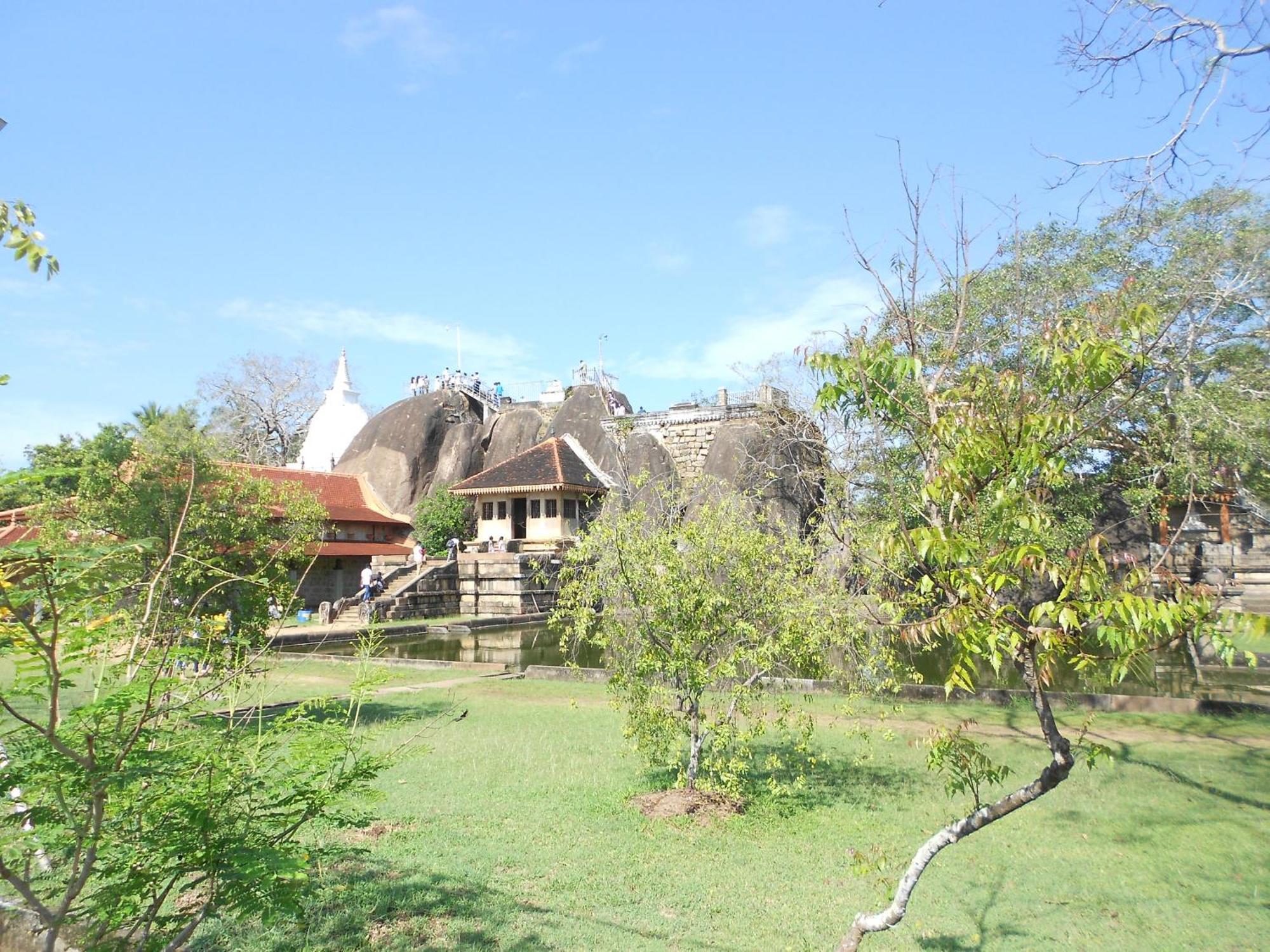 Shanith Guesthouse ネゴンボ エクステリア 写真